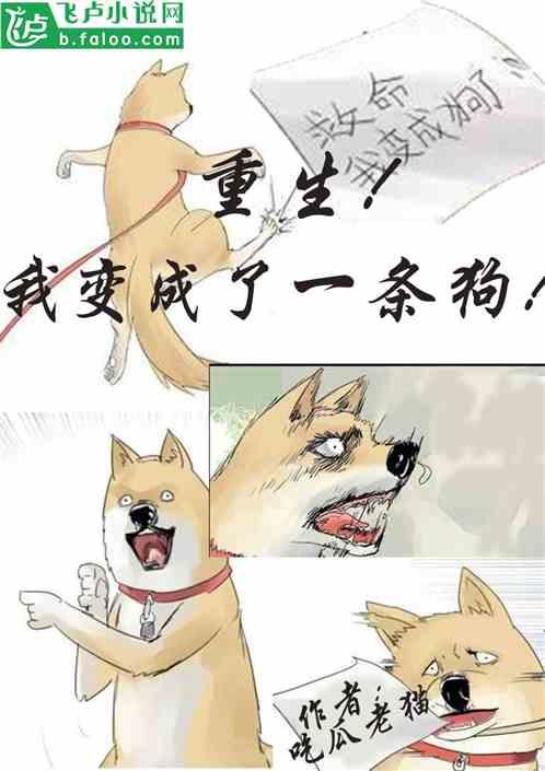 吃瓜猫小说软件,揭秘网络文学世界的奇幻之旅