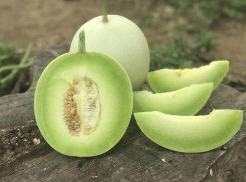 啃着吃的玉瓜叫什么瓜,品味时光的甘甜