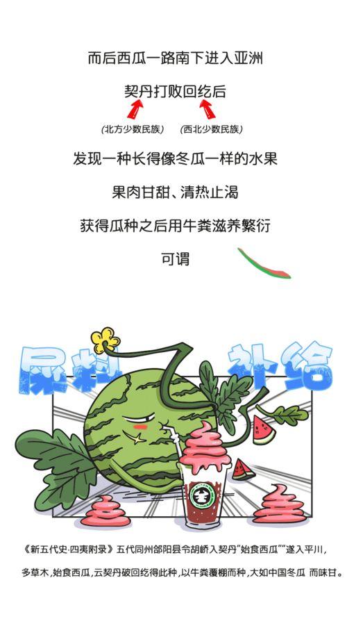 吃瓜的历史渊源