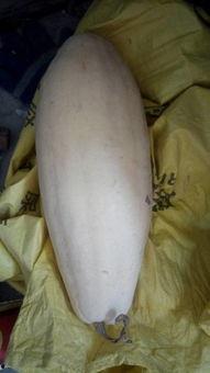 吃瓜大白38,一场网络热点的背后故事