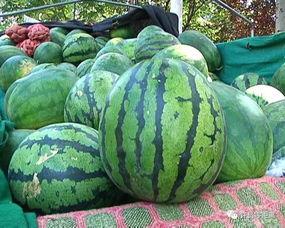 吃瓜看众,揭秘娱乐圈幕后风云